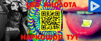 прущие грибы Бузулук