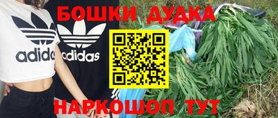 прущие грибы Бузулук