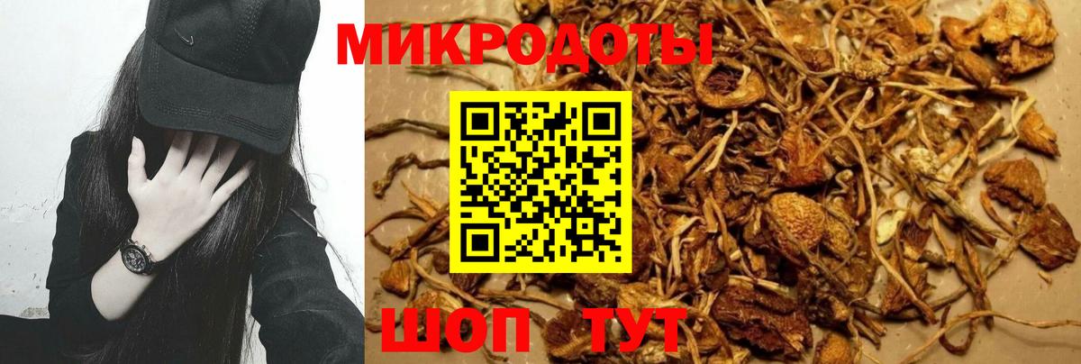 Псилоцибиновые грибы мухоморы Мирный